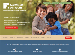 screenshot SAY webpage